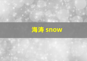 海涛 snow